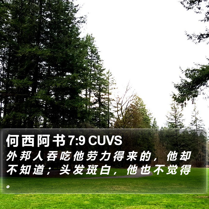 何 西 阿 书 7:9 CUVS Bible Study