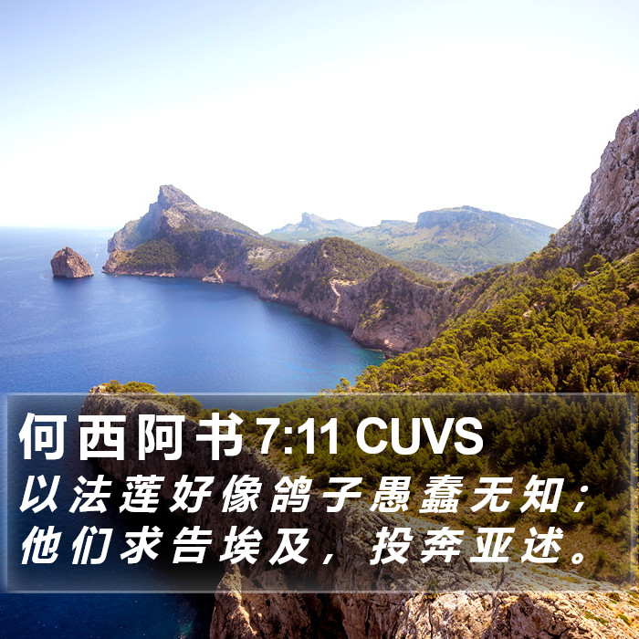 何 西 阿 书 7:11 CUVS Bible Study