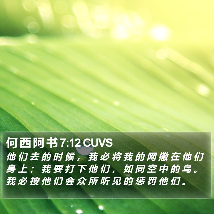 何 西 阿 书 7:12 CUVS Bible Study