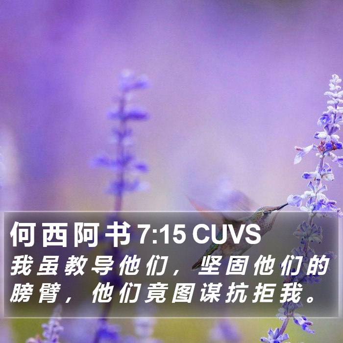 何 西 阿 书 7:15 CUVS Bible Study