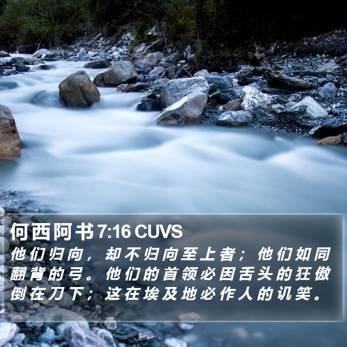 何 西 阿 书 7:16 CUVS Bible Study