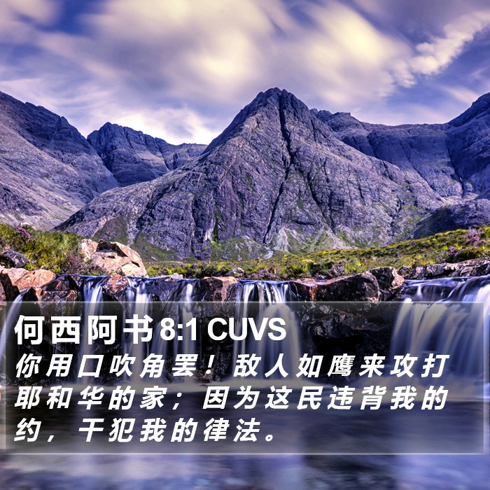 何 西 阿 书 8:1 CUVS Bible Study