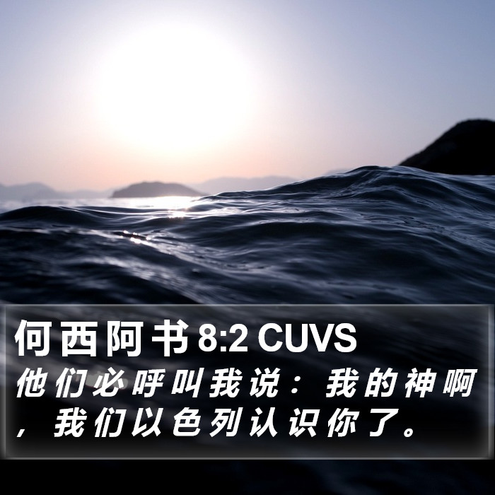 何 西 阿 书 8:2 CUVS Bible Study