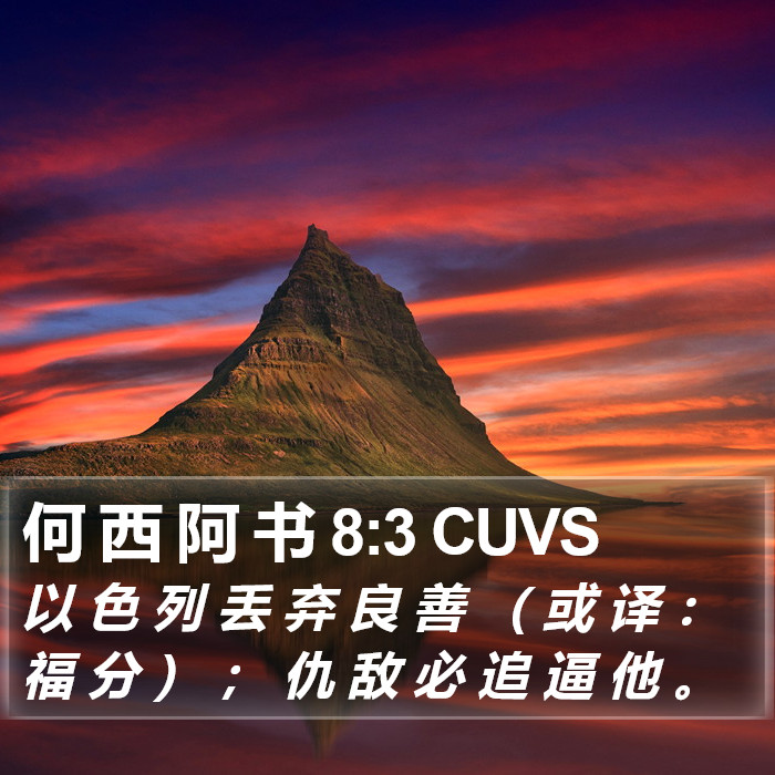 何 西 阿 书 8:3 CUVS Bible Study