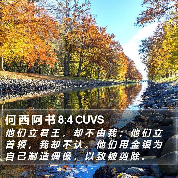 何 西 阿 书 8:4 CUVS Bible Study