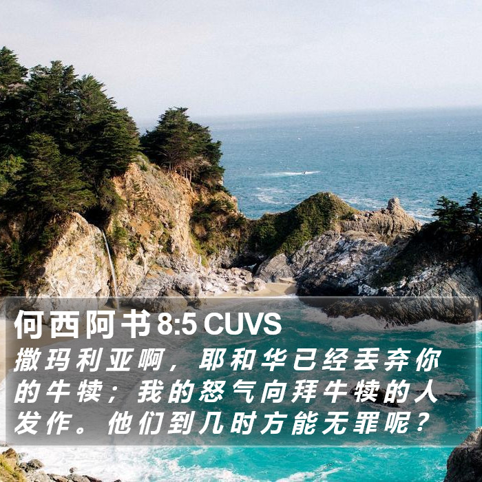 何 西 阿 书 8:5 CUVS Bible Study