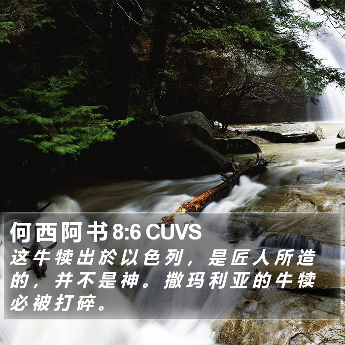 何 西 阿 书 8:6 CUVS Bible Study