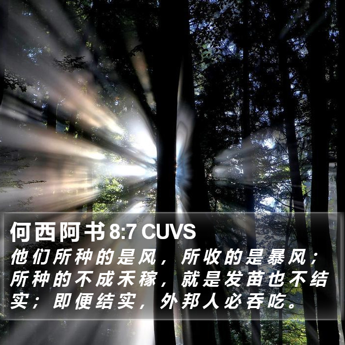 何 西 阿 书 8:7 CUVS Bible Study