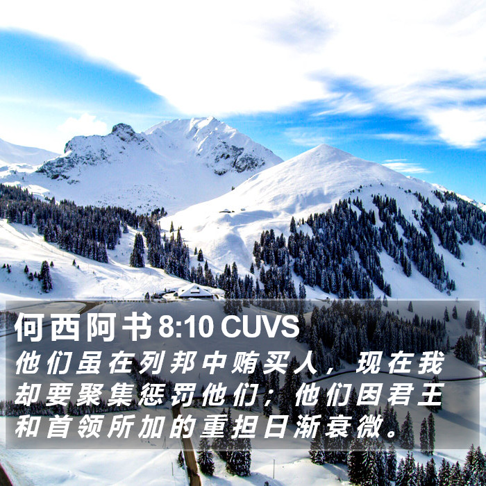 何 西 阿 书 8:10 CUVS Bible Study