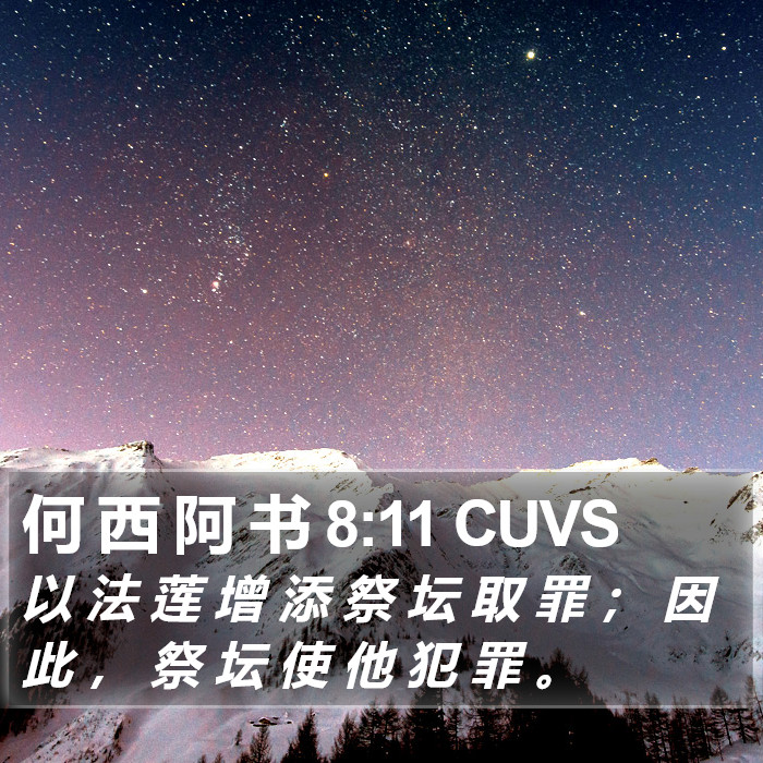 何 西 阿 书 8:11 CUVS Bible Study