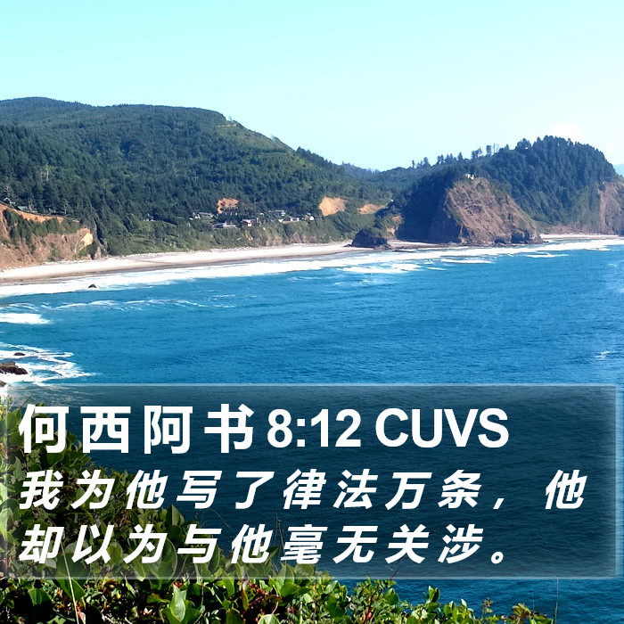 何 西 阿 书 8:12 CUVS Bible Study