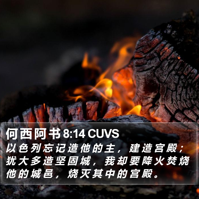 何 西 阿 书 8:14 CUVS Bible Study