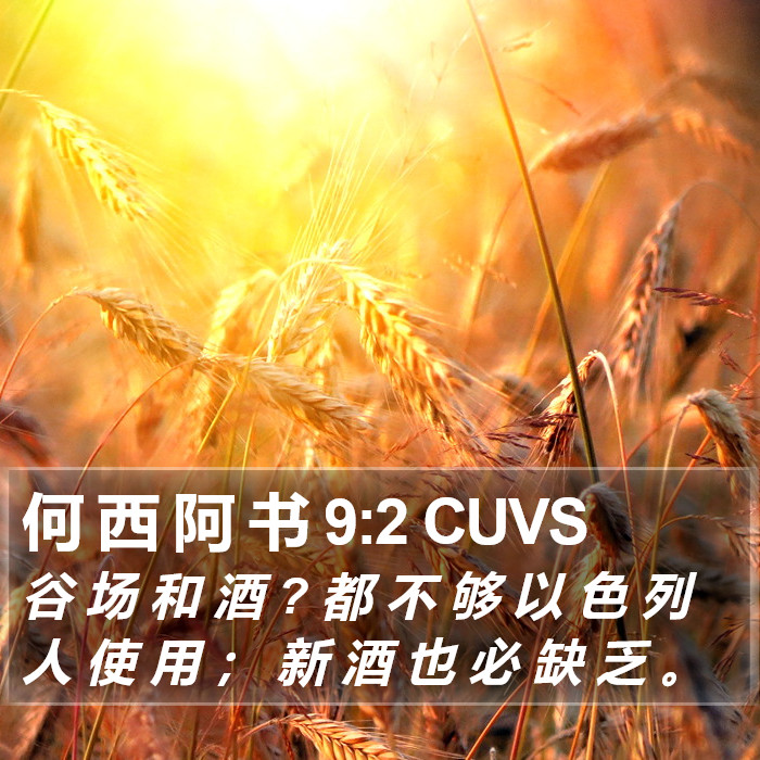 何 西 阿 书 9:2 CUVS Bible Study