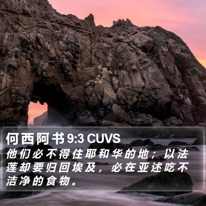 何 西 阿 书 9:3 CUVS Bible Study