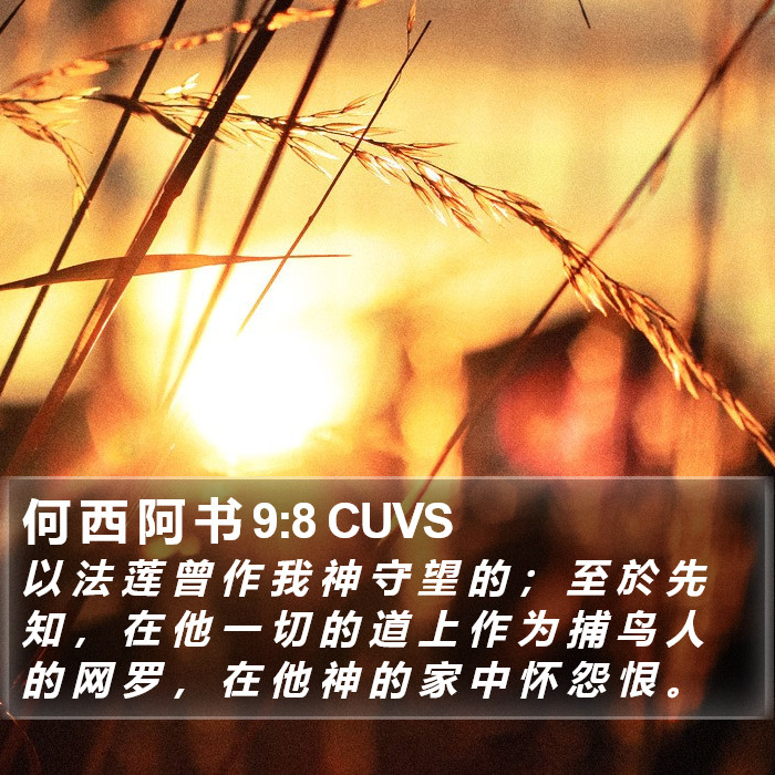 何 西 阿 书 9:8 CUVS Bible Study