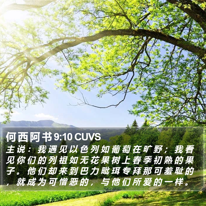 何 西 阿 书 9:10 CUVS Bible Study