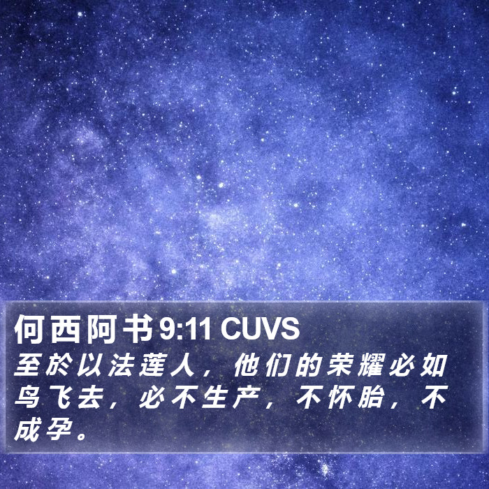 何 西 阿 书 9:11 CUVS Bible Study