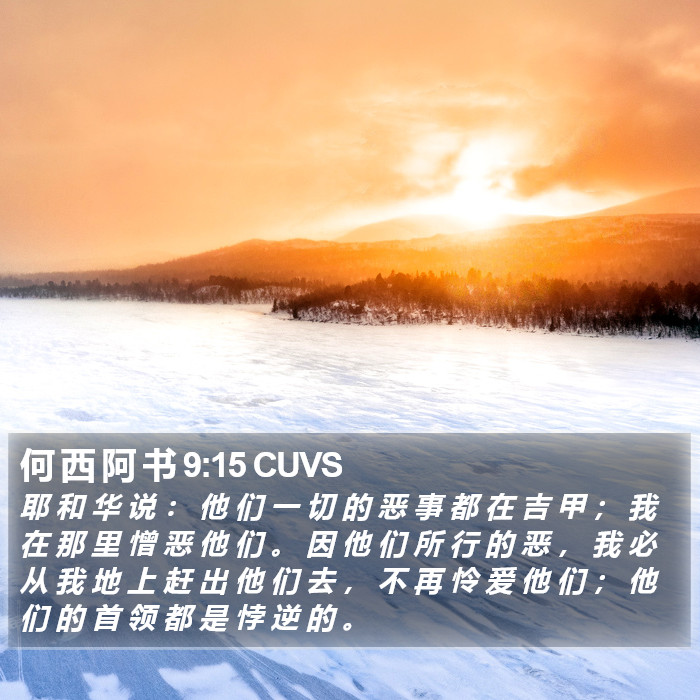 何 西 阿 书 9:15 CUVS Bible Study