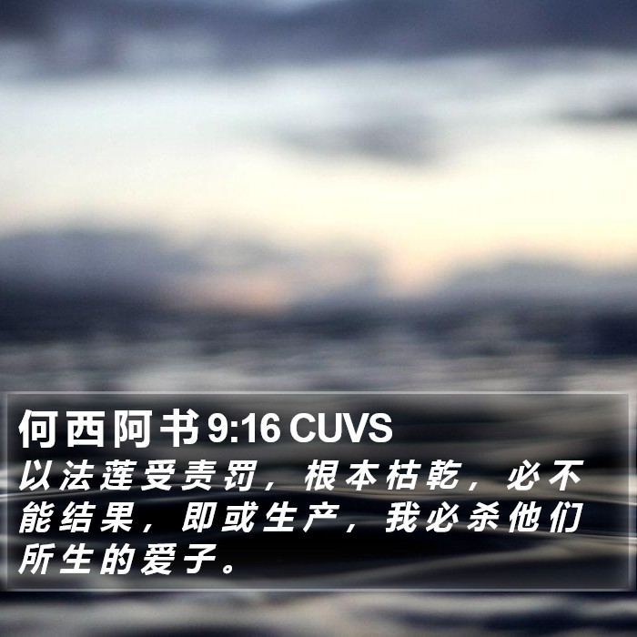 何 西 阿 书 9:16 CUVS Bible Study