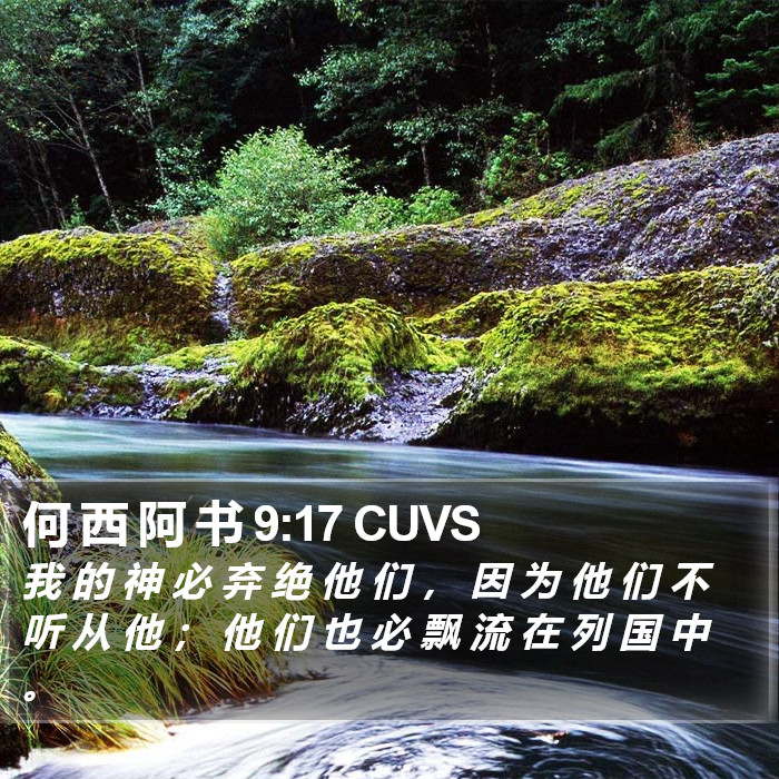 何 西 阿 书 9:17 CUVS Bible Study