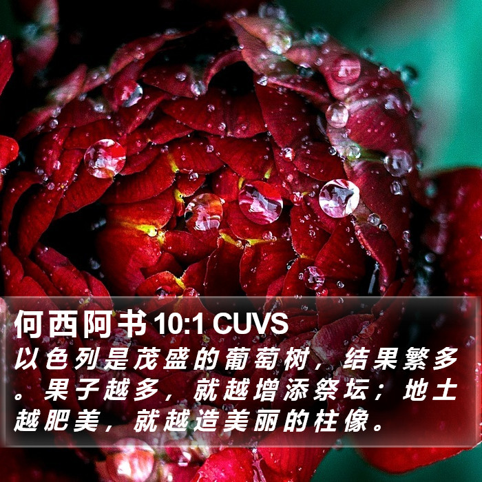 何 西 阿 书 10:1 CUVS Bible Study