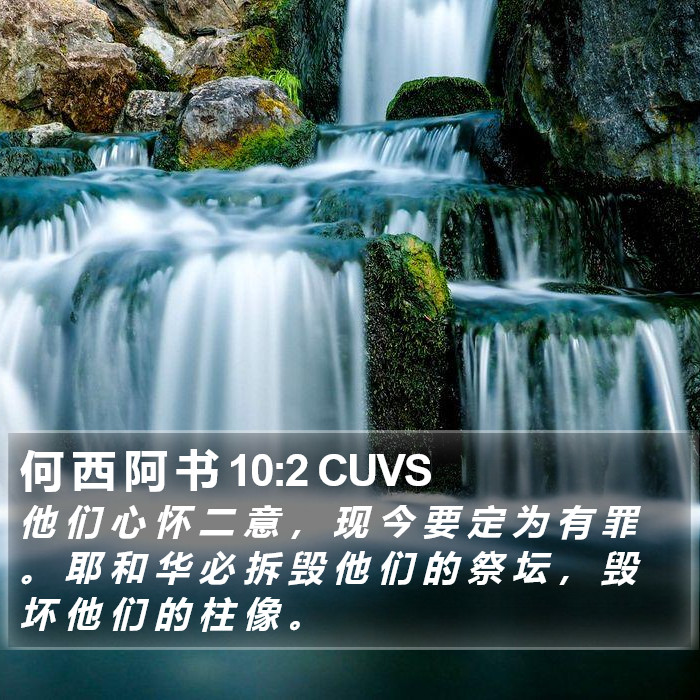 何 西 阿 书 10:2 CUVS Bible Study