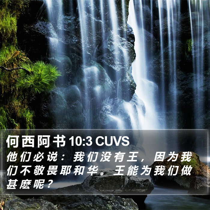 何 西 阿 书 10:3 CUVS Bible Study