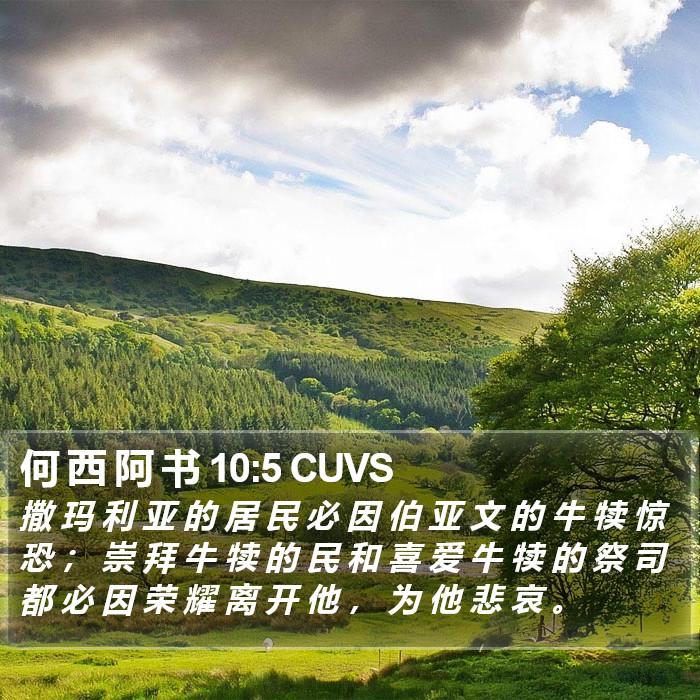 何 西 阿 书 10:5 CUVS Bible Study