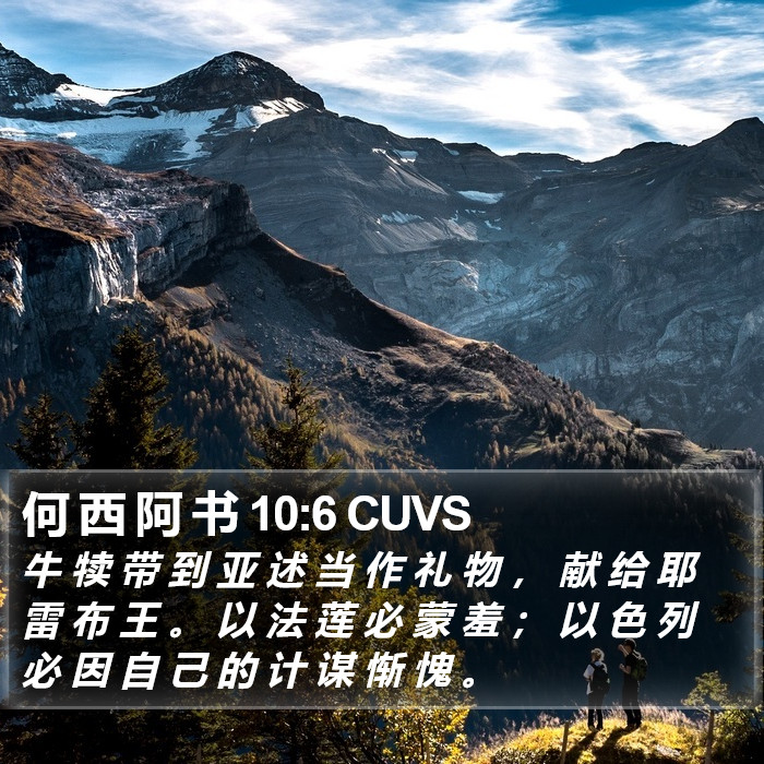 何 西 阿 书 10:6 CUVS Bible Study