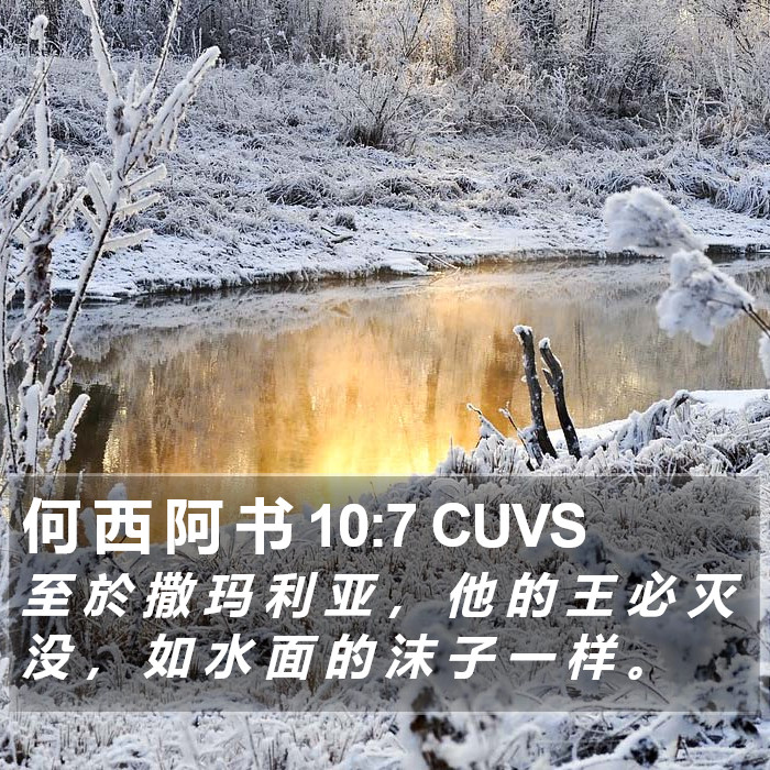 何 西 阿 书 10:7 CUVS Bible Study