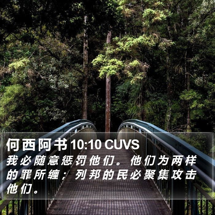 何 西 阿 书 10:10 CUVS Bible Study