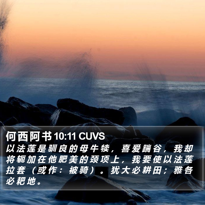 何 西 阿 书 10:11 CUVS Bible Study