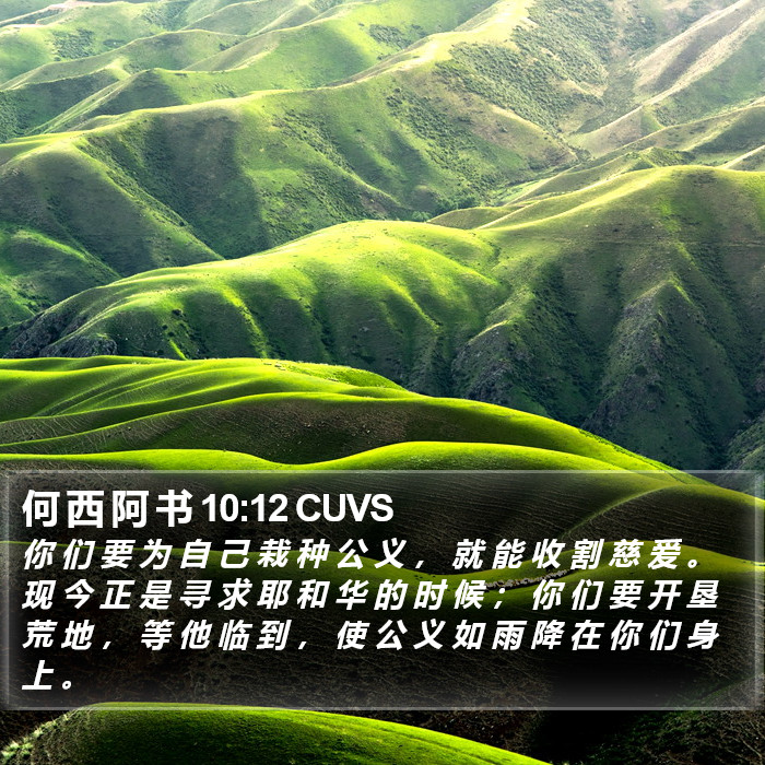 何 西 阿 书 10:12 CUVS Bible Study