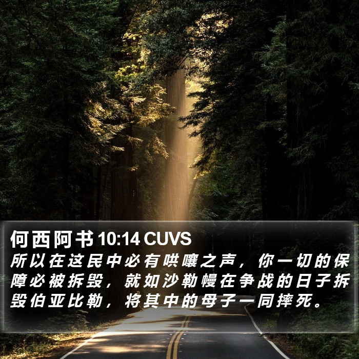 何 西 阿 书 10:14 CUVS Bible Study