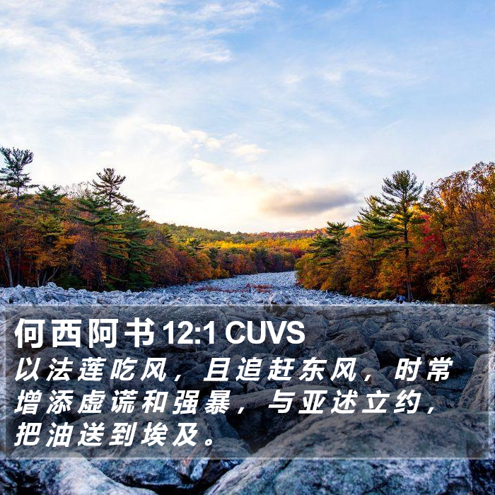 何 西 阿 书 12:1 CUVS Bible Study