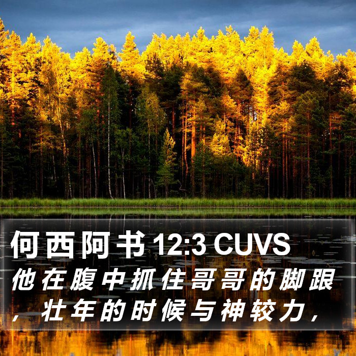 何 西 阿 书 12:3 CUVS Bible Study