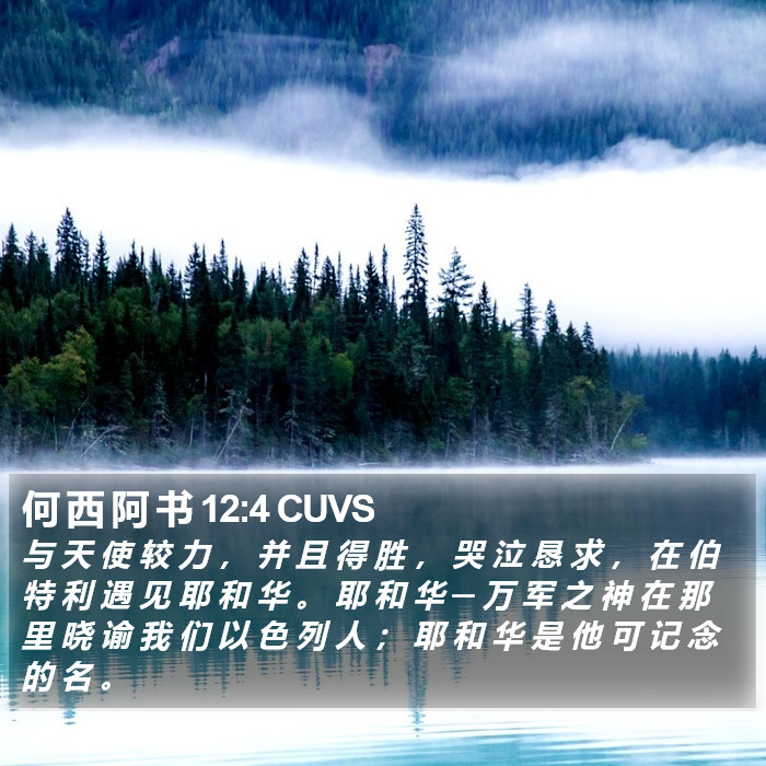 何 西 阿 书 12:4 CUVS Bible Study