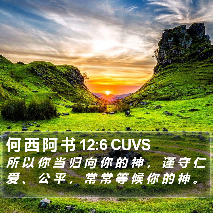 何 西 阿 书 12:6 CUVS Bible Study