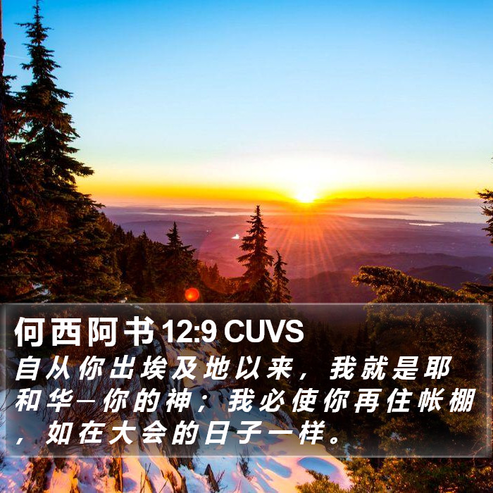 何 西 阿 书 12:9 CUVS Bible Study