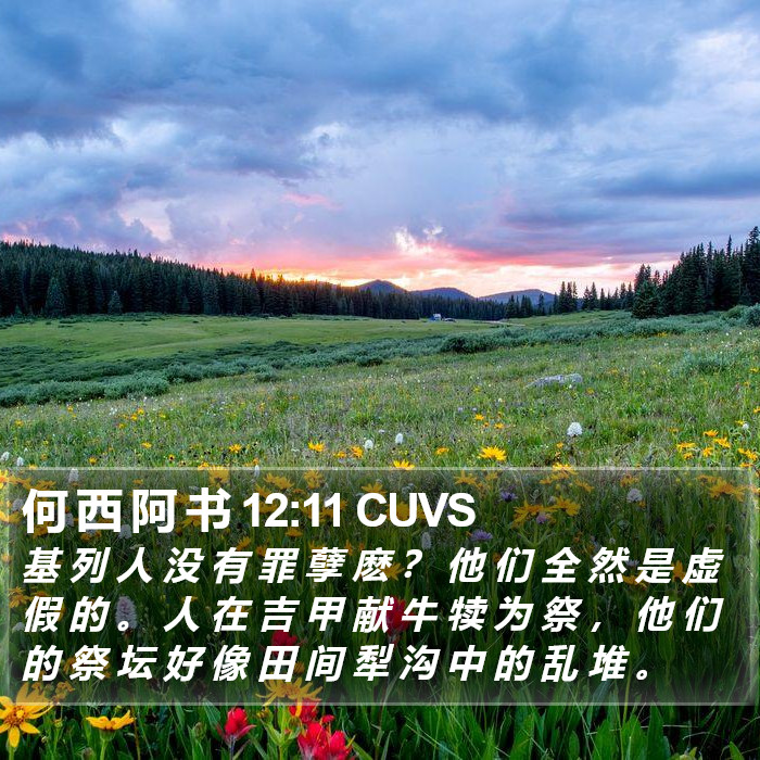 何 西 阿 书 12:11 CUVS Bible Study