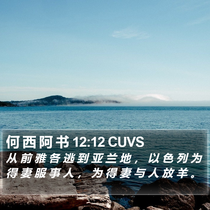 何 西 阿 书 12:12 CUVS Bible Study