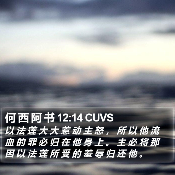 何 西 阿 书 12:14 CUVS Bible Study