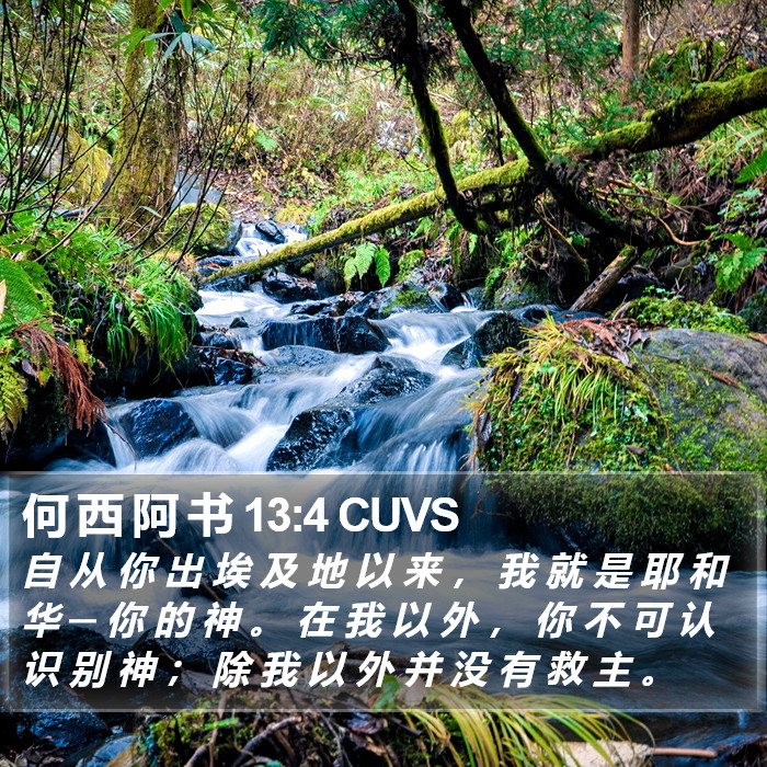 何 西 阿 书 13:4 CUVS Bible Study