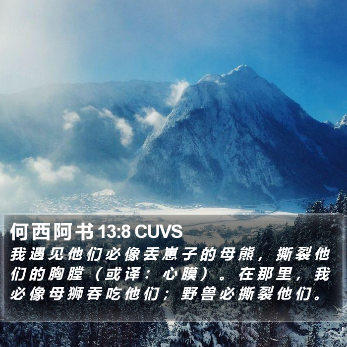 何 西 阿 书 13:8 CUVS Bible Study