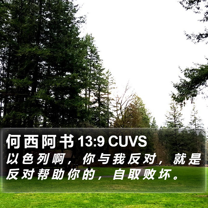 何 西 阿 书 13:9 CUVS Bible Study