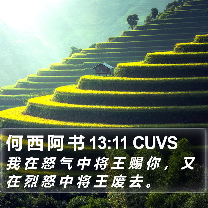 何 西 阿 书 13:11 CUVS Bible Study