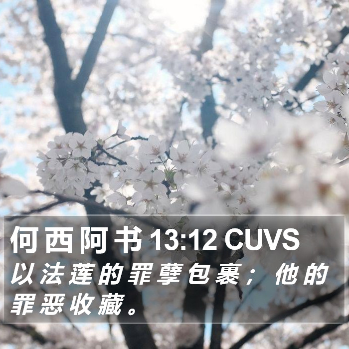 何 西 阿 书 13:12 CUVS Bible Study