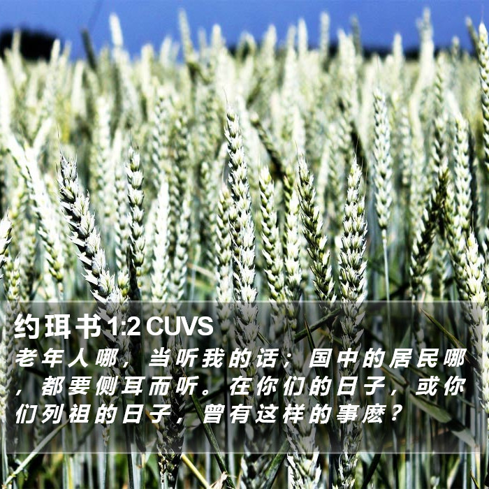 约 珥 书 1:2 CUVS Bible Study