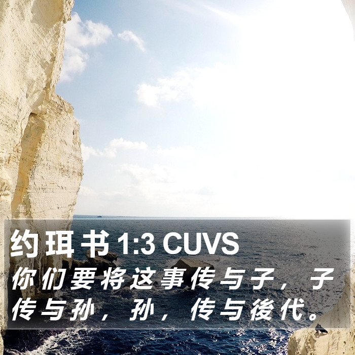 约 珥 书 1:3 CUVS Bible Study