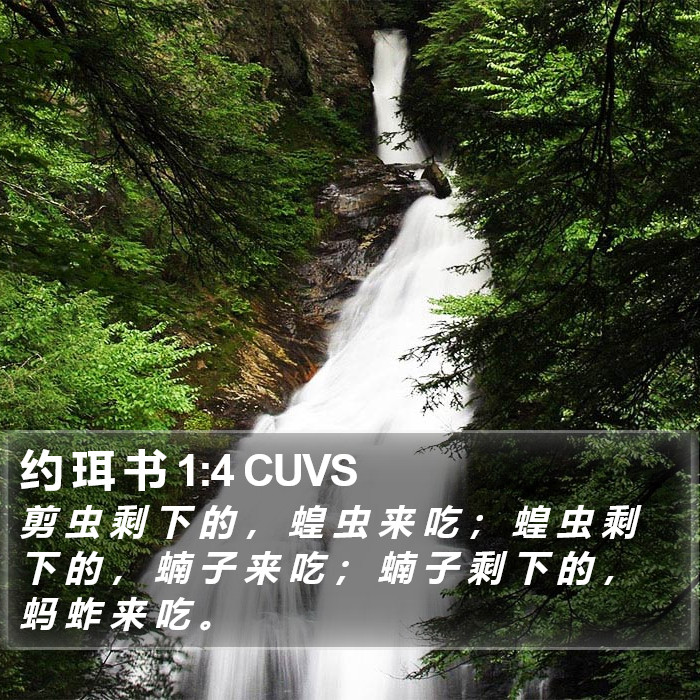 约 珥 书 1:4 CUVS Bible Study